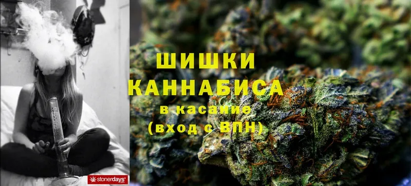 Каннабис Ganja  Далматово 